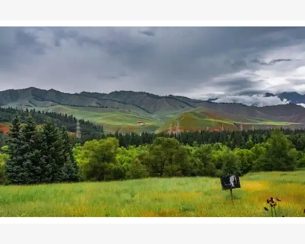 实际应用中的效率提升数据与案例_防爆电机系统安全运行与日常维护关键点
