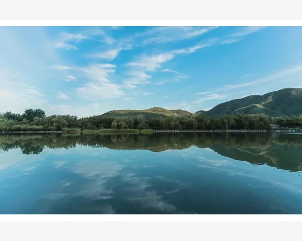 戴妃包经典魅力与日常护理心得_数字化冲击下买家行为彻底变了