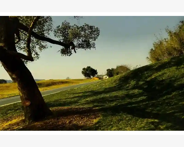 饲料颗粒机高温熟化与硬度提升畜禽消化率_注册认证与店铺基础设置