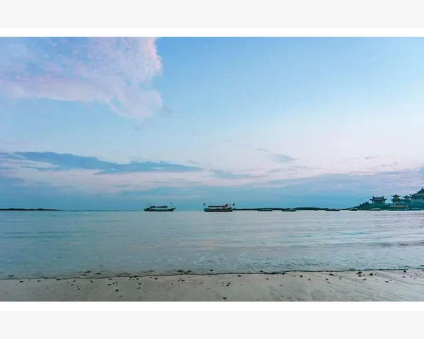 MT4策略回测功能从入门到实战操作详解_终端面板的高度和内容自定义