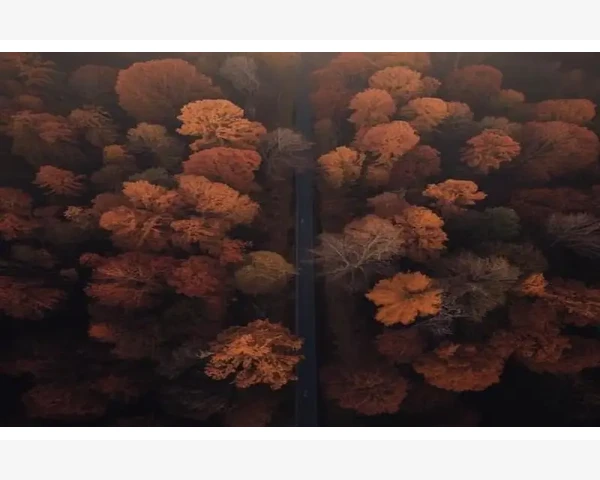 KVM切换器的安装与使用技巧_工厂防静电无尘布选购与使用核心要点