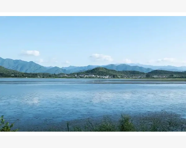 关于MT4信号订阅结算币种这事我绕了三圈才搞明白_通过安装目录中的文件属性查看