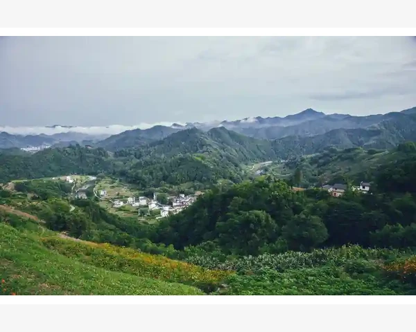 B2B平台典型代表与行业应用全览_功能应用与平台操作的关键细节