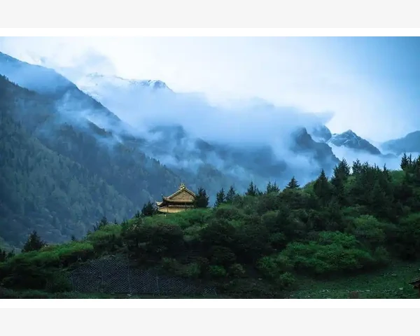 实际应用中的注意事项_带轮床底收纳盒巧用空间与移动收纳技巧