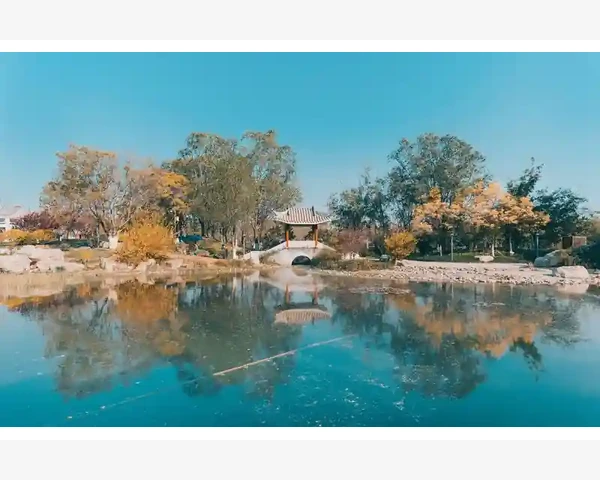 B2B网站备案流程与注意事项详解_水箱结构对清洗效果的影响