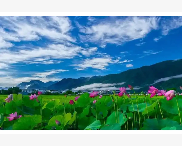 关于MT4止损价能否贴着开仓价这事我翻了一晚上说明书_导航器与账户历史里的保证金痕迹