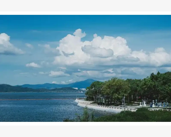 B2B平台分类与特点一次讲透_B2B平台分类与特点一次讲透