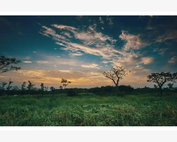 B2B网站商业模式的核心盈利路径_B2B网站商业模式的核心盈利路径